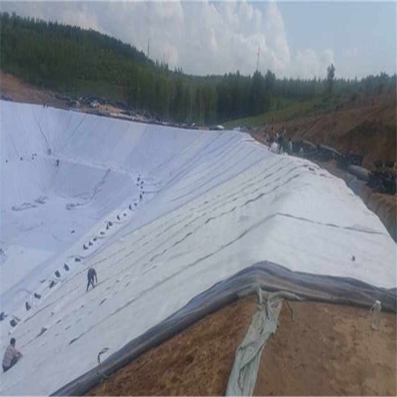 High Quality Woven Geotextile HDPE Building Material Composite Drainage Geogrid Geonet for Landfill