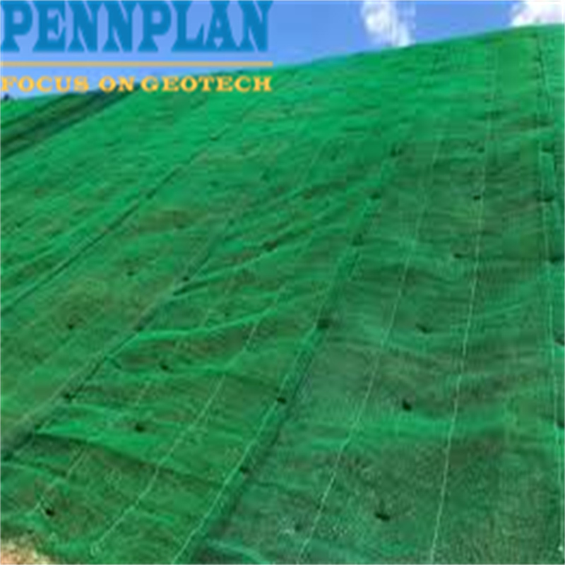 High Quality Slope Protection Grass Geotextile Mat Erosion Control Grid System 3D Drainage Mat