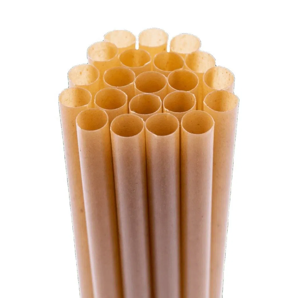 100% Compostable Eco Friendly Biodegradable Drink PLA Free Sugarcane Fiber Straw