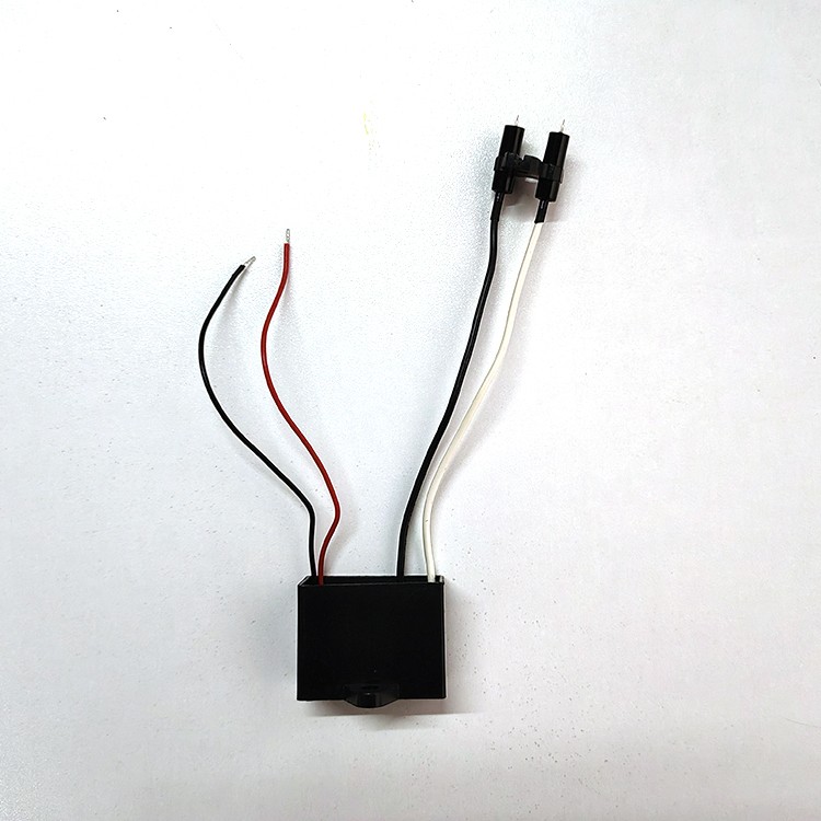 DC12V Bipolar Ionizer Hair Dryer Hair Curler Component Plasma Generator