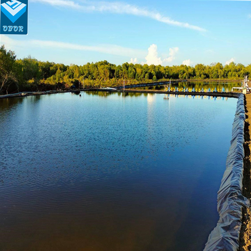 LDPE Geomembrane with 1.5 mm for Biogas Project and Biodigester Liner