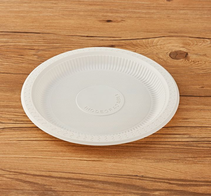 Heat-Resistant Disposable Eco-Friendly Plates 10 Inch Biodegradable Lunch Tray