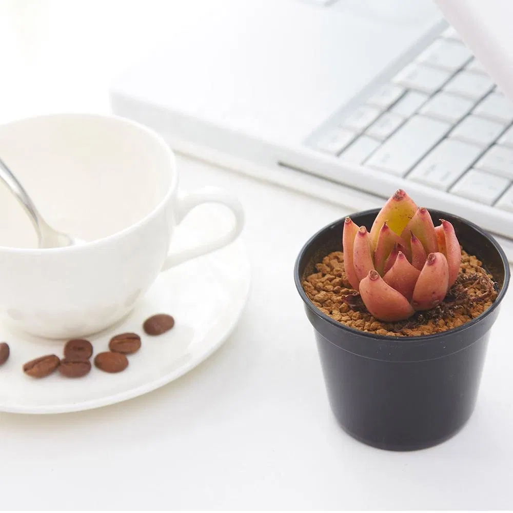 Горшки для рассады и суккулентов, 2.6 и 2.1 дюйма