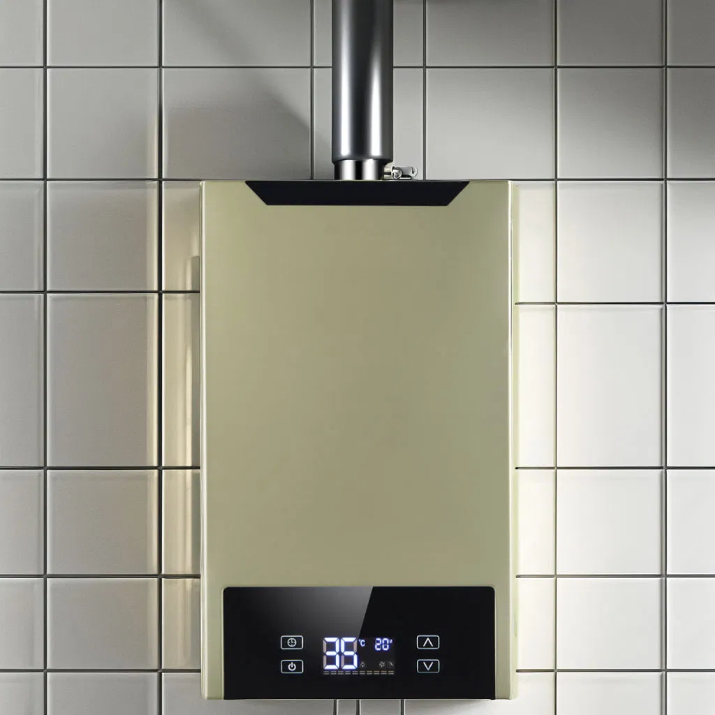Instant Gas Water Heater for Gas Portable Shower with Digital Display and Custom Logo
