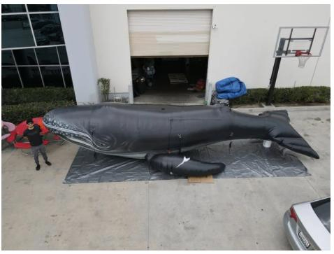 2023 New Air Sealed Inflatable Fish