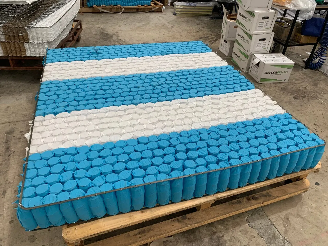 Zones Compressed or Rolled Package Mini Pocket Spring