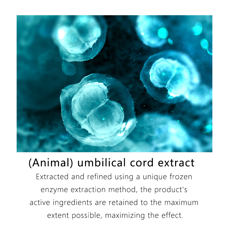 Skincare OEM/ODM After-Sun Repair Moisturizing Umbilical Cord Extract Freeze-Dried Powder