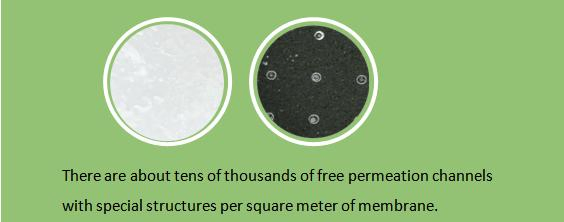 Innovative Allochroic Crels Mask for Skin Care