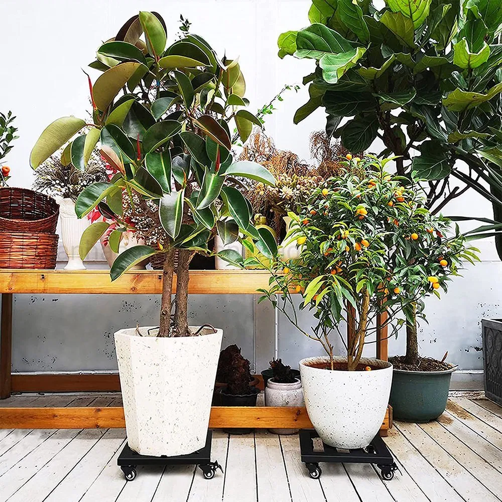 Sturdy Metal Plant Stand Square Plant Movers with Wheels
