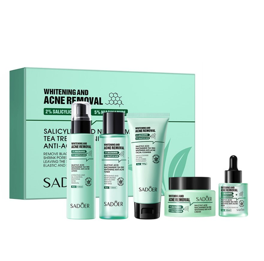 Salicylic Acid Whitening Acne Removal Mud Tea Tree Cleansing Mud Mask Niacinamide Tea Tree Facial Mask Cream Acne Removing Serum Skincare Set