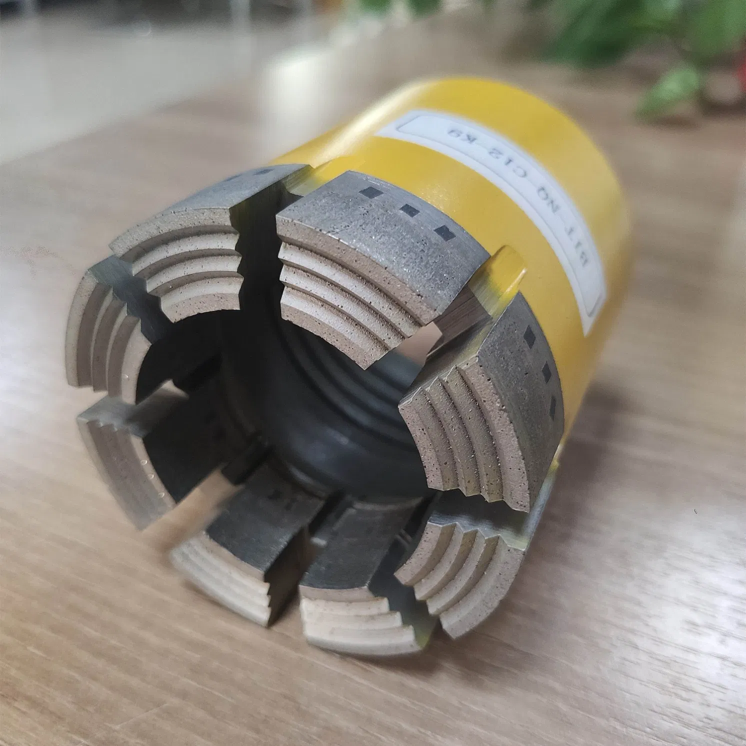 Drill Bit of T46-116/ Wg/Wf/Wj with Factory Price