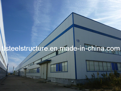 Eonomic Customized China Design Steel Structure Building