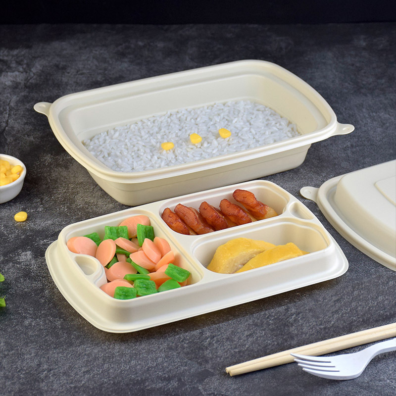 Biodegradable Takeaway Bagasse Clamshell Sugarcane Food Container Lunch Box Pfas Free
