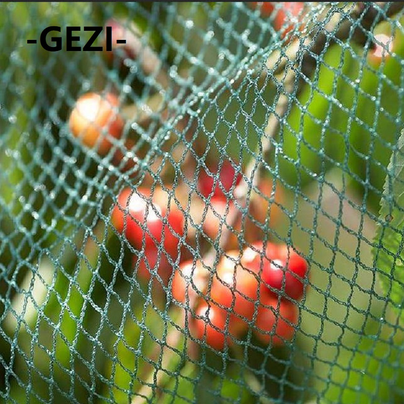 100% PE Plastic Anti-Bird Net for Greenhouse Garden Agriculture Plants and Orchards