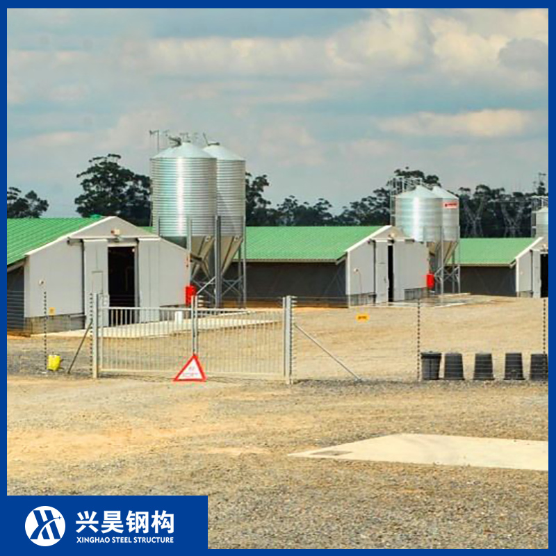 High-Strength Structural Steel Skeleton Prefab/Prefabricated Steel Structure Breeder/Layer/Broiler/Chicken/Cow/Sheep Shed/House