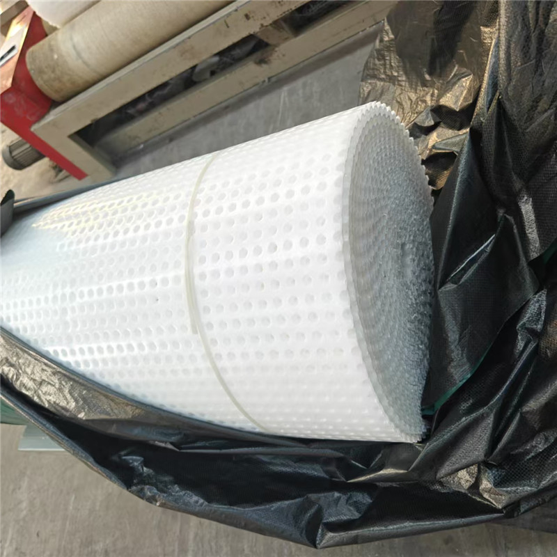 Green Roof Drain Board/Drainage Sheet with Dimple