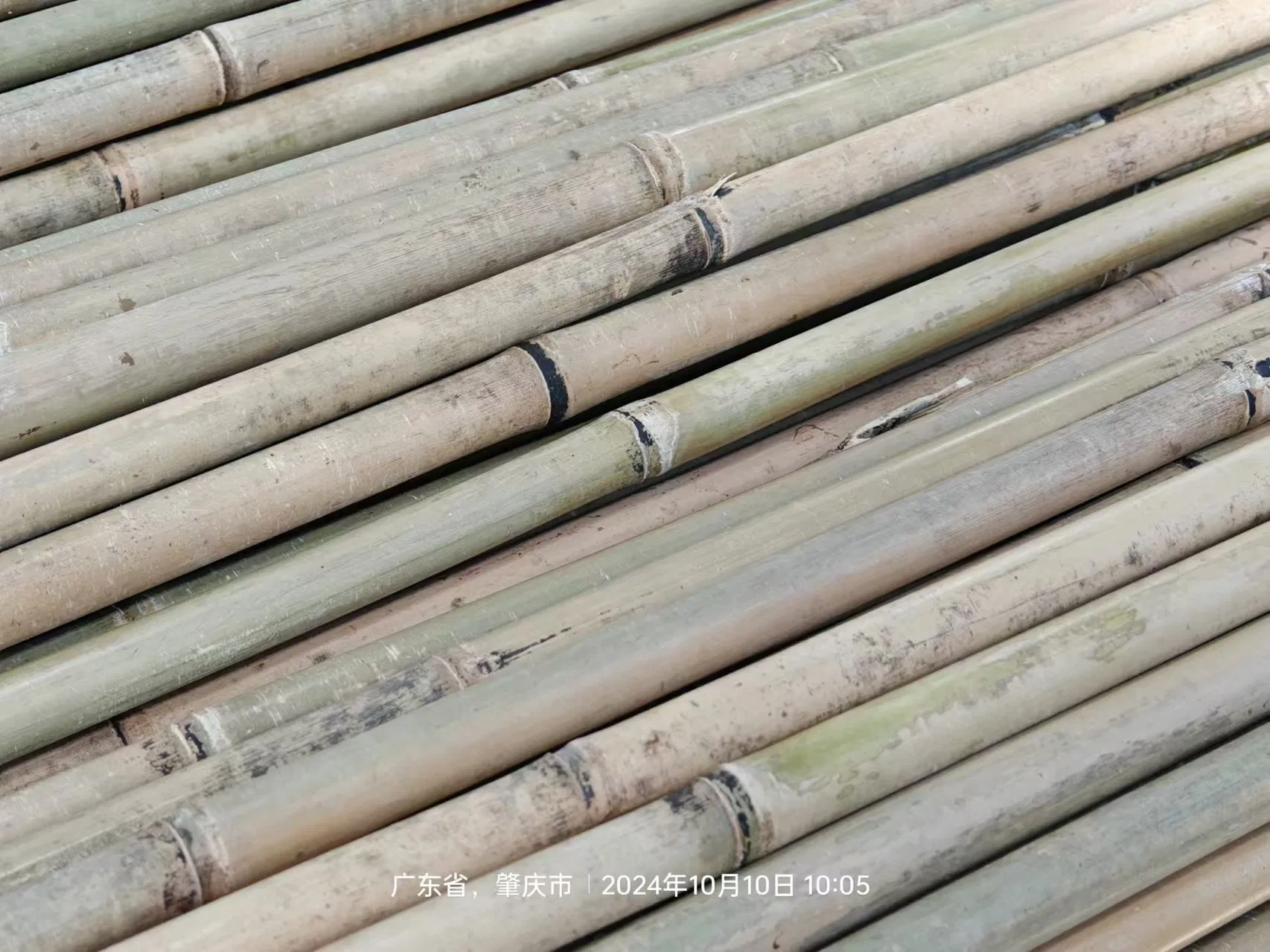 Stake Stick Cane Fence Poles Panel Flowerstick U Trellis Craft Products Bamboo