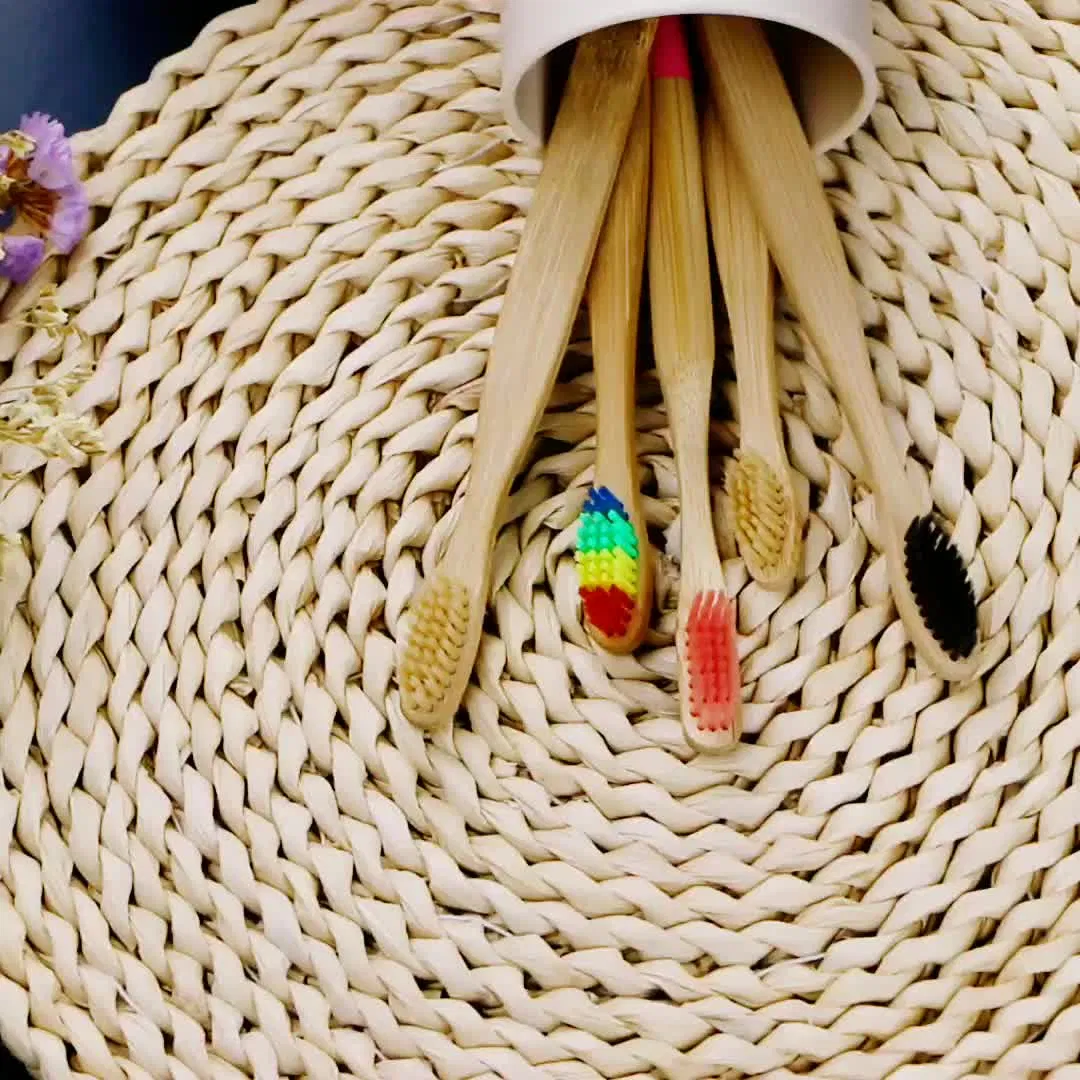 Natural Reusable Travel Toothbrushes Eco-Friendly Green Biodegradable Bamboo Toothbrushes