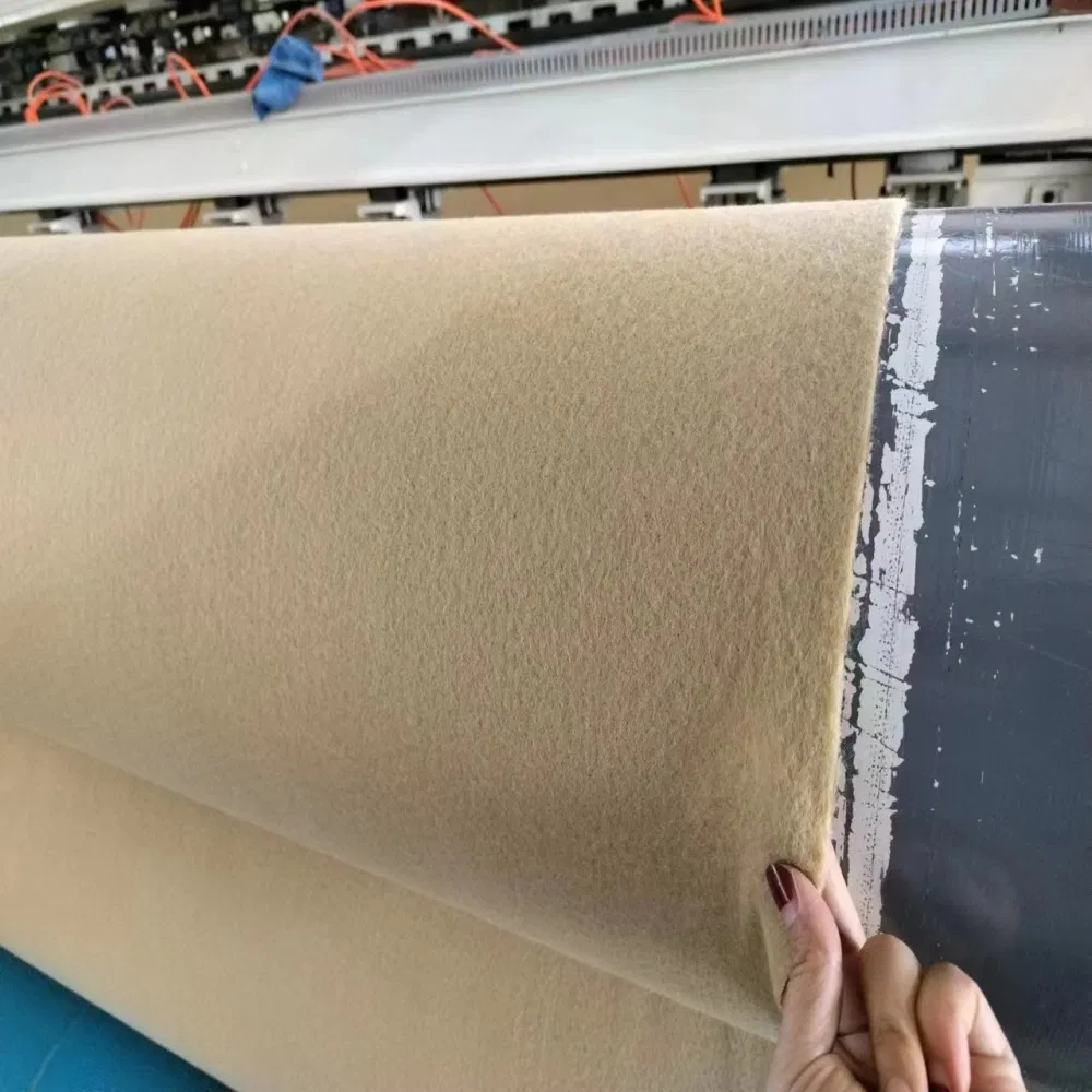 Tr Advanced Needle Punched Geotextile for Soil Filtration and Reinforcement