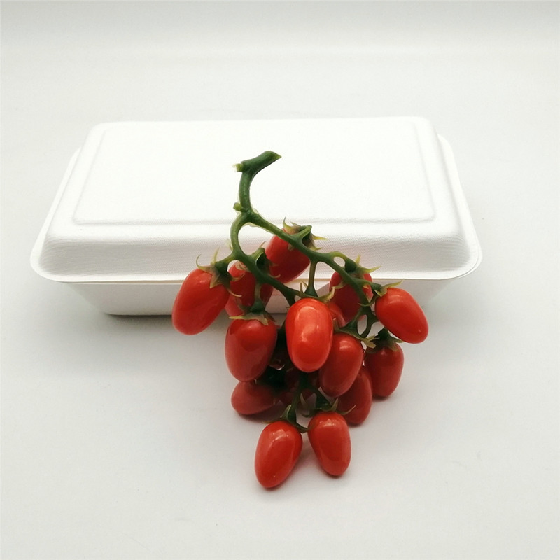 Takeaway Microwavable Bagasse Disposable 2 Compartment Bento Food Storage Lunch Boxes / Meal Prep Containers