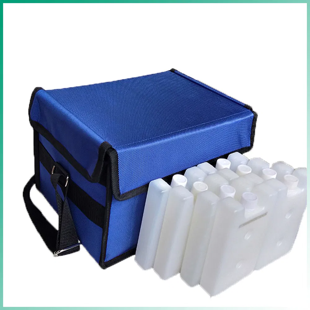 EPP Vacuum Insulated Box Cold Chain Temperature Controlled Packaging System