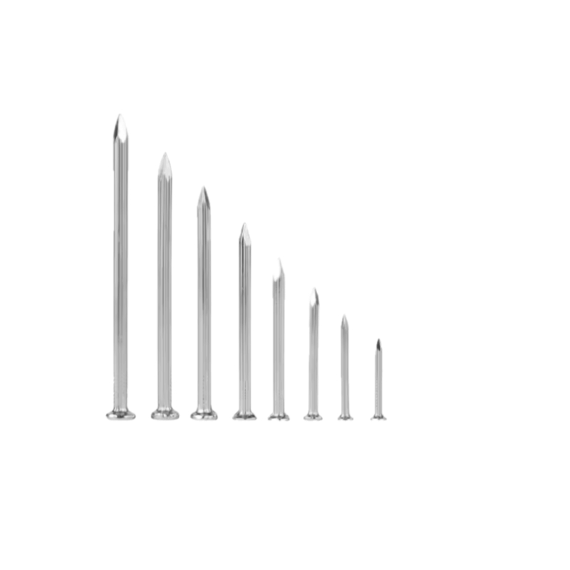 Stainless Steel Polished Steel Construction Spiral Wire Spike Twisted Shank Concrete Nails