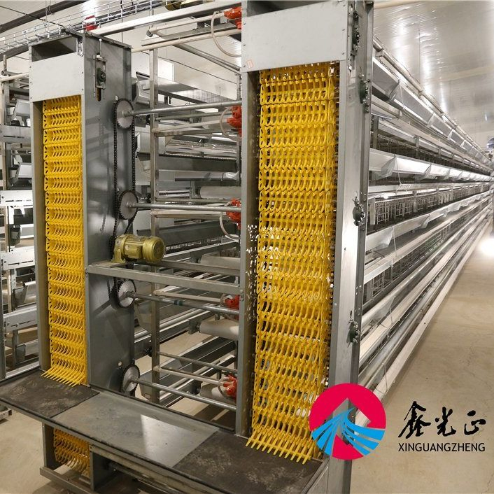Broiler/Breeder/Layer/Egg Installation Hatchery Construction Steel Structure Shed Automatic House
