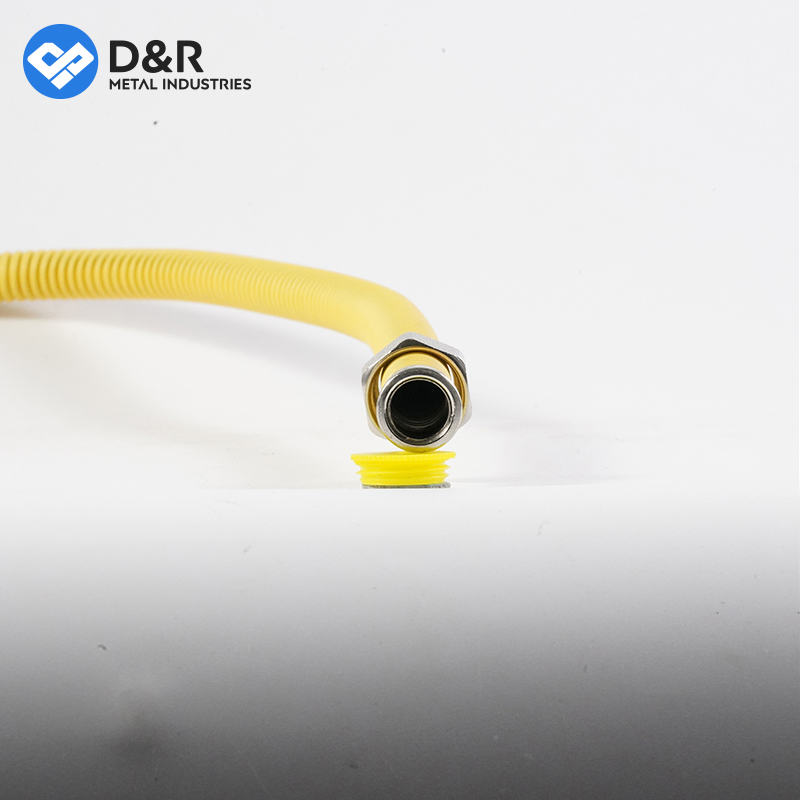 D&R Good Quality 1/2~1" 30cm~50cm SS304 with Brass Screw Flexible Gas Hose