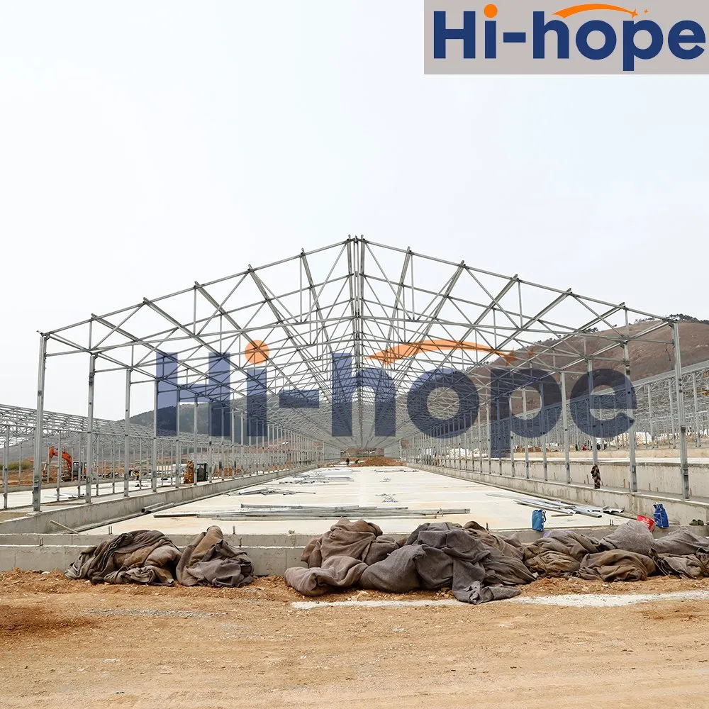 Eco-Conscious Steel Poultry House with Thermal Insulation and Weather Resistant Galvanized Materials