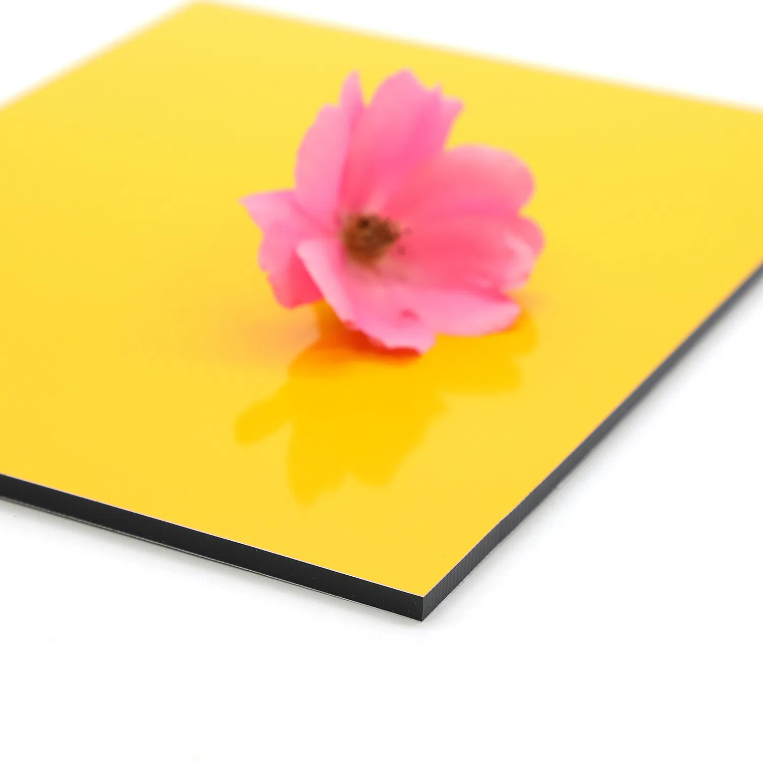 3mm 4mm 5mm 6mm PVDF Coated Aluboon Aluminum Composite Panel with 1220X2440mm