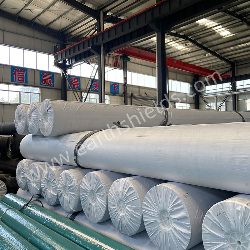 0.5mm 0.75mm HDPE Geomembrane for Fish Farm and Aquaculture Base Waterproofing