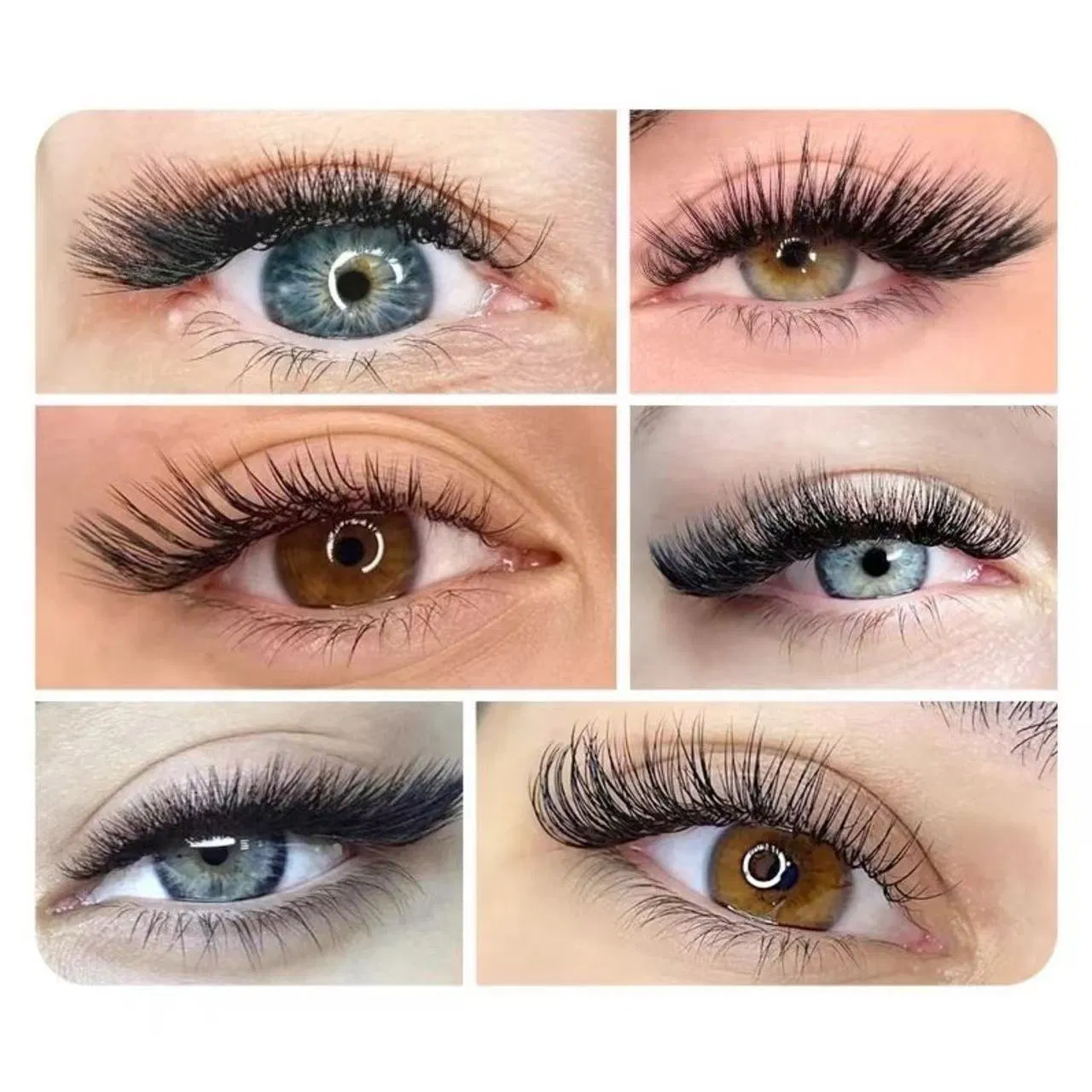 Ld/Lu (M) /N Curl 12rows False Eyelash Extensions Mink Black Material 8-15mm