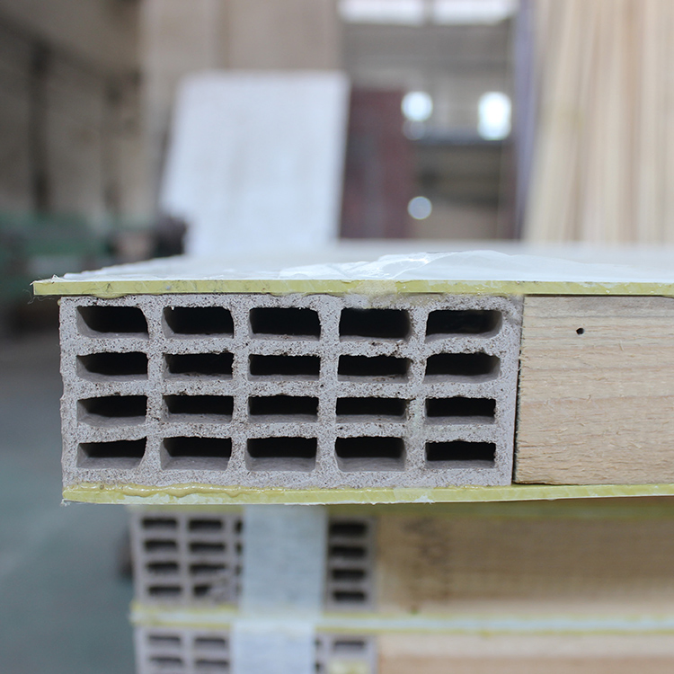 Modern Interior Soundproof Doors Melamine Wood Door (YF-E009B)