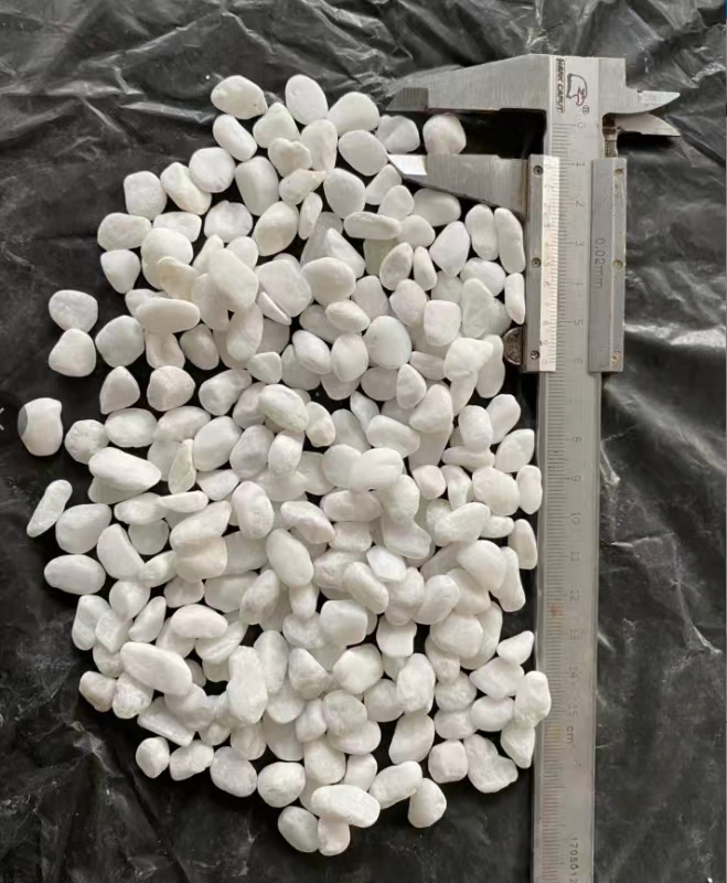 Hot Sale Cheap White Pebble Stone for Garden & Aquarium Decoration