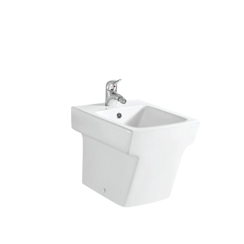 Back Floor Standing Ceramic Toilet Bidet Set Bidet Sprayer Shattaf Bidet Toilet Sprayer Portable Bidet