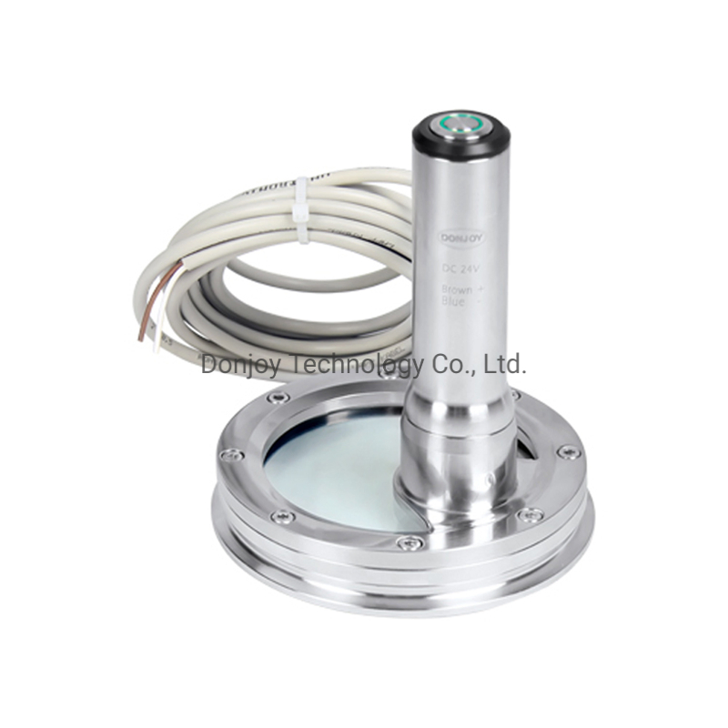 Stainless Steel Flanged Sight Glass with Multi-Angle LED Light