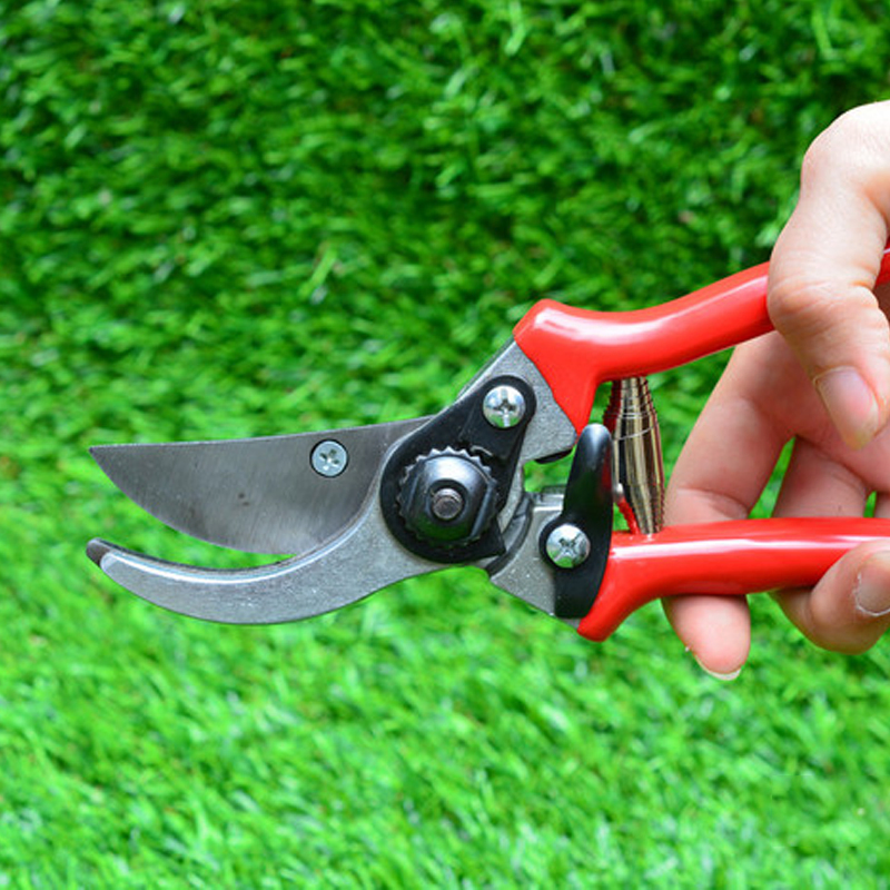 Fruit Trees Garden Tools Stainless Steel Pruner Tree Cutter Gardening Pruning Shears