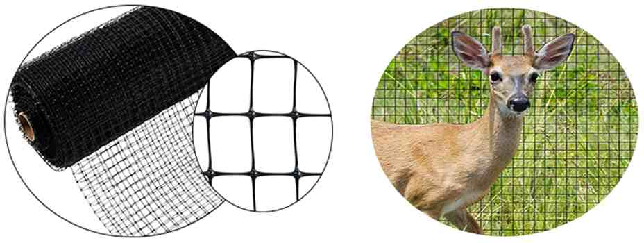 Plastic Deer Fence for Protecting (R-WLW)