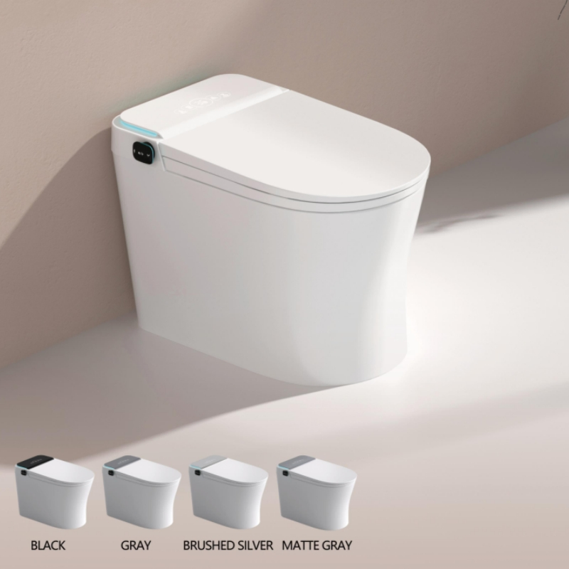 Simple and Popular Fashionable Intelligent Toilet