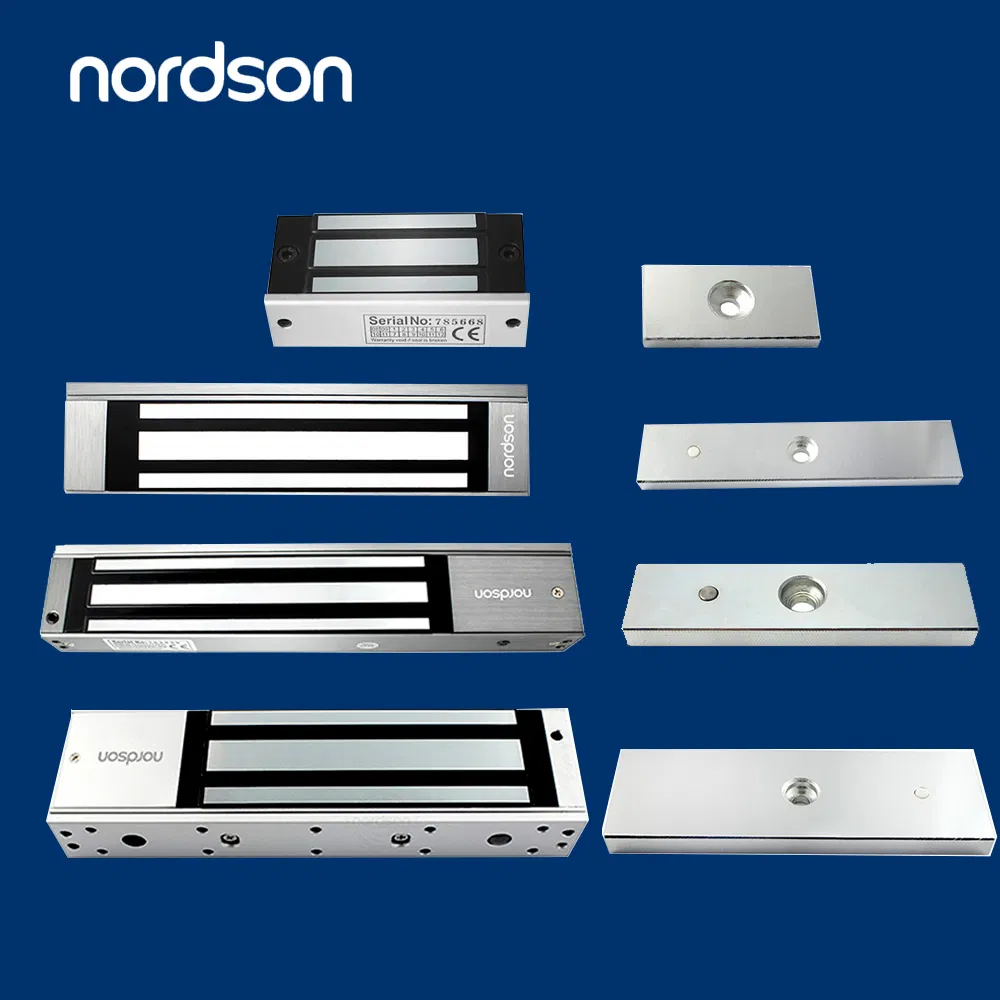 High Quality DC12V 24V Fail-Safe Power to Lock Double Electronic Lock for Access Control