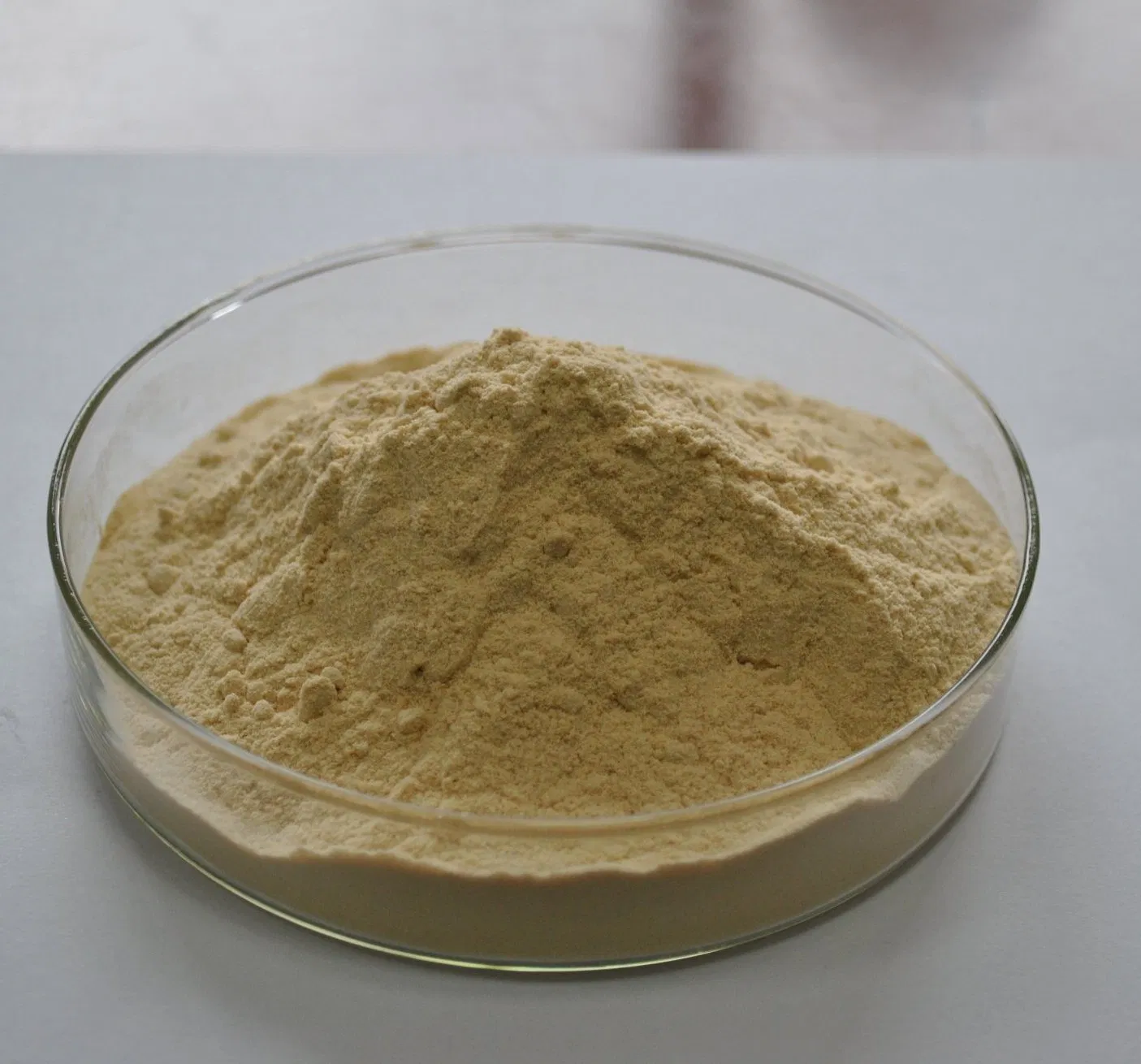 Natural Cleaning Ingredient of Sapindus Mukorossi Extract for Natural Laundry Detergent