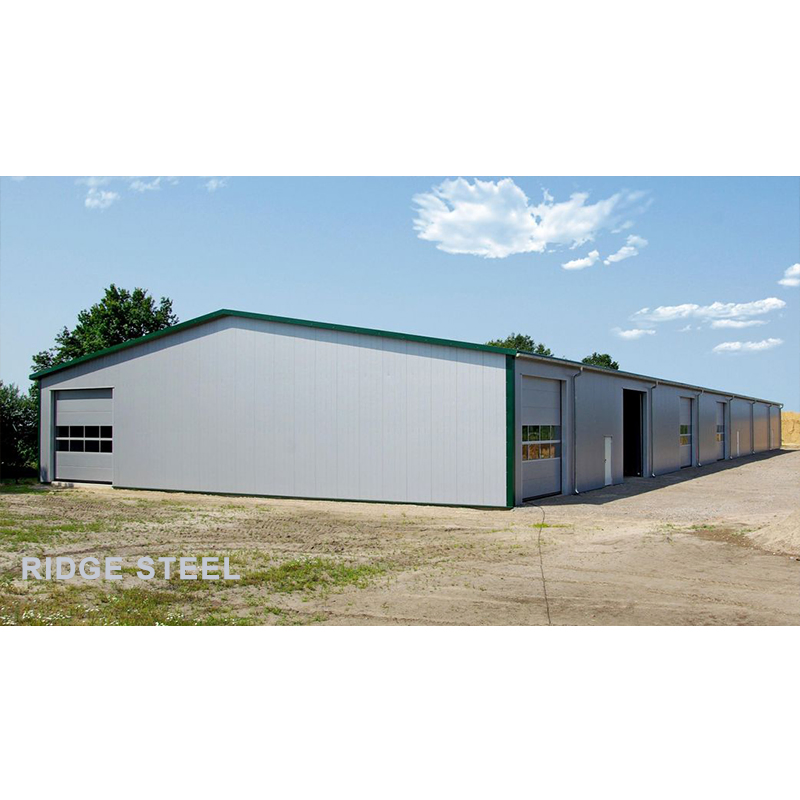Commercial Steel Structure Building Steel Structure Sport Stadium Workshop