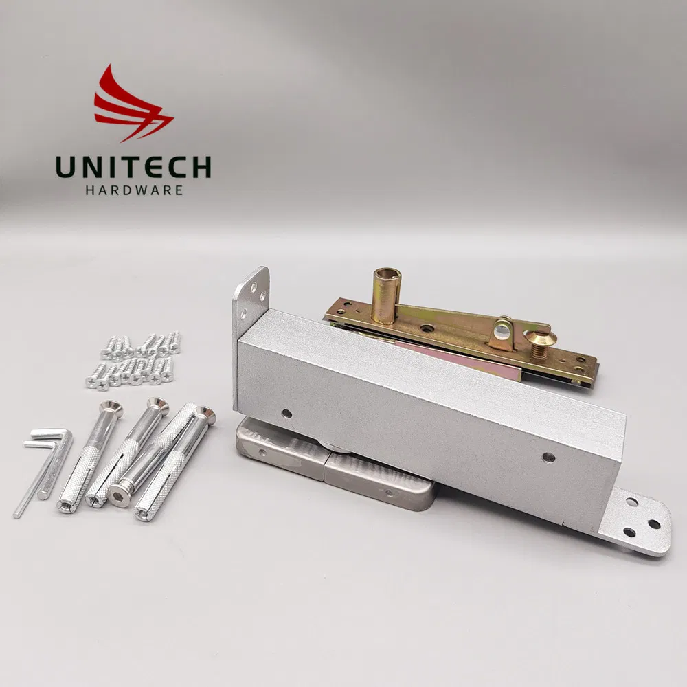 No Digging Door Closer Hydraulic Wooden Door Patch Fitting Floor Spring Hinge