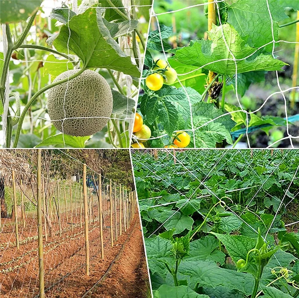 High Quality Green 130mm Plant Climbing Pea Cucumber Support Plastic Mesh Netting
