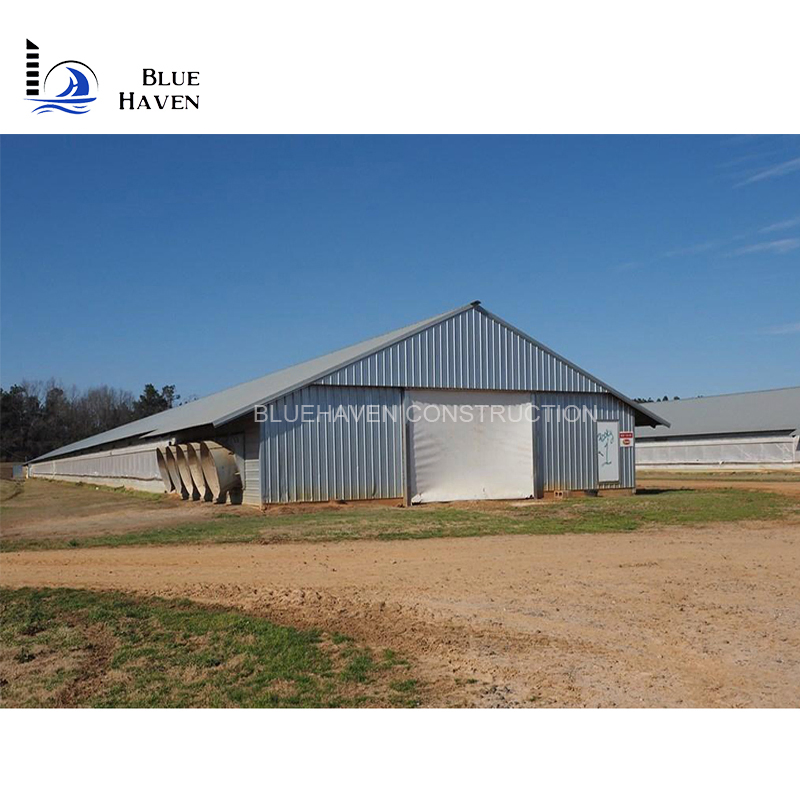 Low Cost Steel Frame Poultry Farm Design for Chicken / Duck House