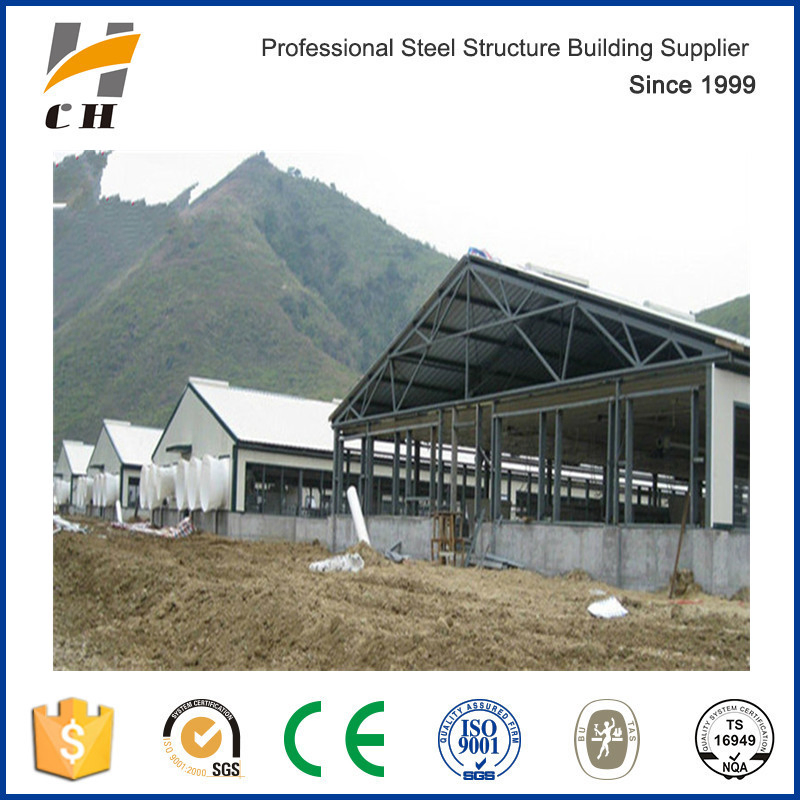 Factory Supplies Low Price High Qualit Modular Steel Structure Cow Shed/Dairy Farm Shed Building/Steel Structure Poultry Farm/Shed