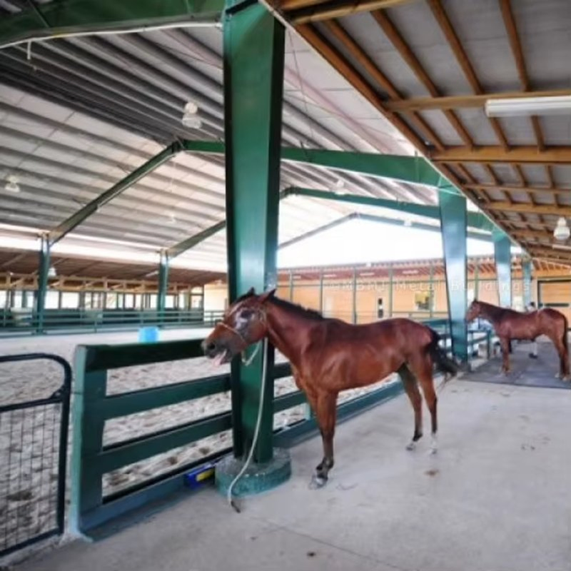 China Popular Prefab Modular Horse Barn Stall Riding Arena Stable with Hinged Door for Hall Farmhouse Garage Shed Use