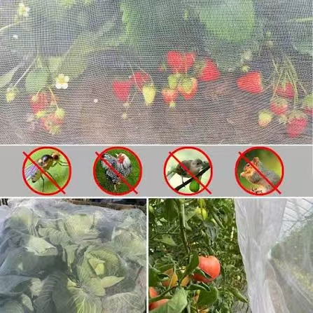 Insect Proof Net for Vegetables and Fruits 2X100m