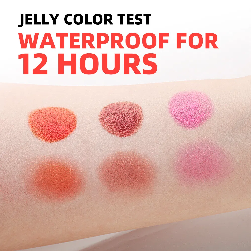 OEM 11 Color Liquid Blush Trim Lasting Matte Eom Blush Lotion Watercolor Makeup Lip Gloss