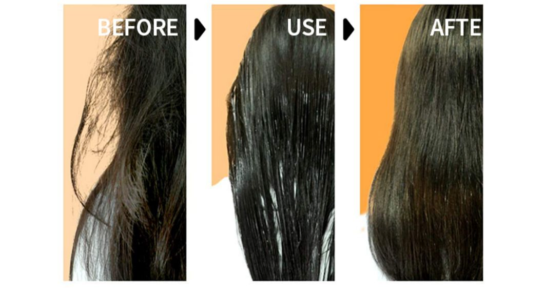 OEM ODM Hair Care Concentrate Shampoo in Bulk for Salon Base